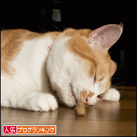 人気ブログランキングへ